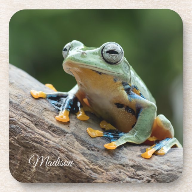 Jeu de dessous de verre de grenouille de nom perso (Devant)