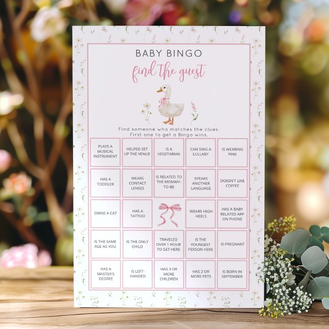 Jeu de fille Bébé Bingo Silly Goose Trouvez l'invi (Créateur téléchargé)