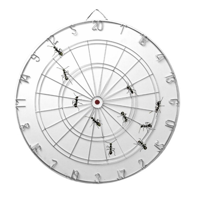 JEU DE FLÉCHETTES 10 (Devant)