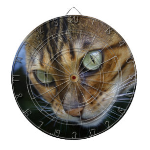Jeu De Fléchettes Belle chatte du Bengale