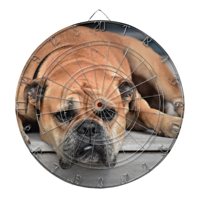 Jeu De Fléchettes Bull Dog (Devant)