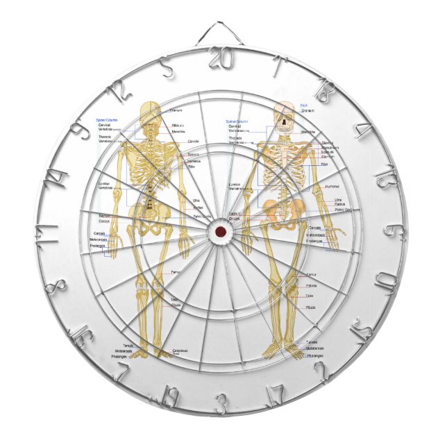 Jeu De Fléchettes Carte d'anatomie marquée du squelette humain (Devant)