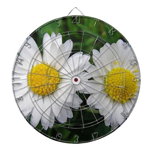 Jeu De Fléchettes Deux marguerites blanches mignonnes (Devant)