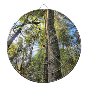 Jeu De Fléchettes Eucalyptus gommiers de la forêt pluviale australie