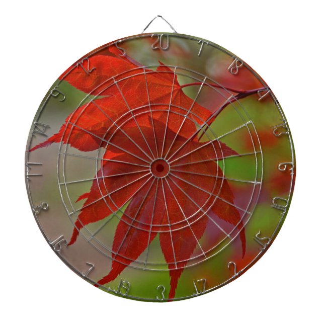 Jeu De Fléchettes Feuilles de l'arbre rouge (Devant)