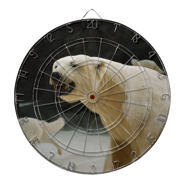 Jeu De Fléchettes Graine d'ours polaire (Devant)