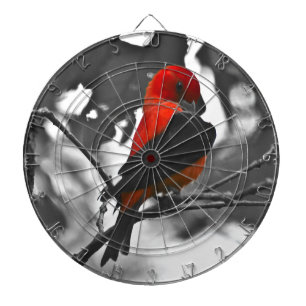 Jeu De Fléchettes Homme Scarlet Tanager