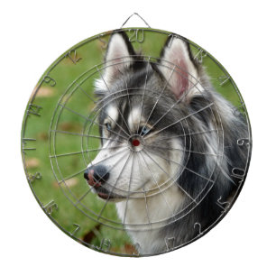 Jeu De Fléchettes Husky