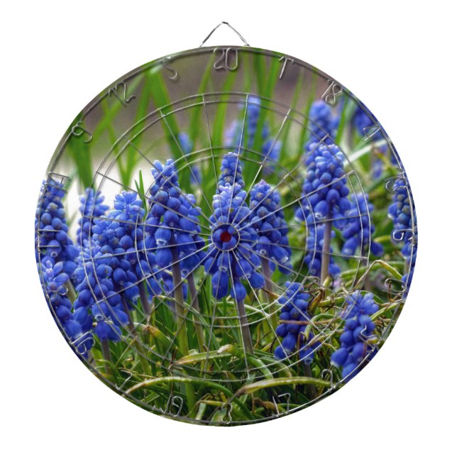 Jeu De Fléchettes Hyacinthe de raisin (Devant)