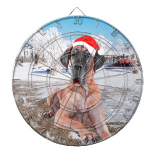 Jeu De Fléchettes Joli chien Great Dane assis dans la neige avec un