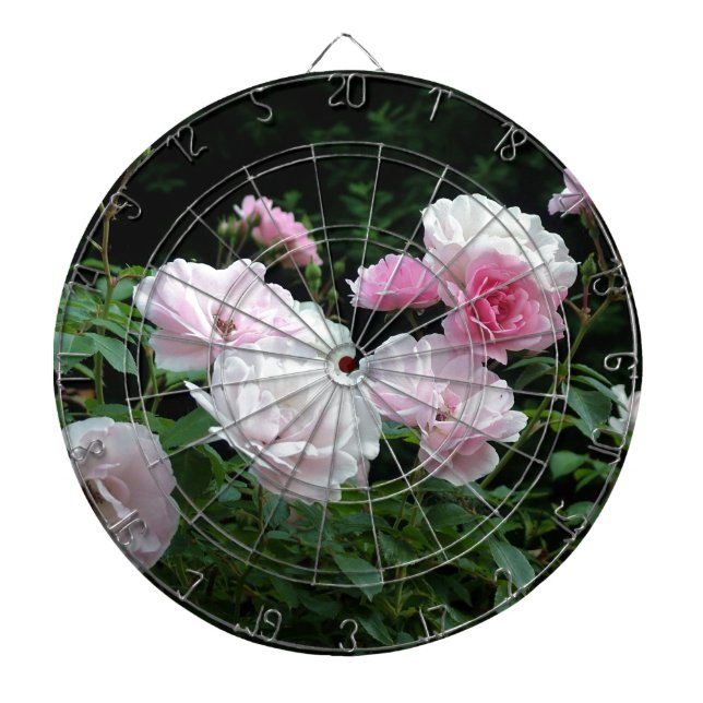 Jeu De Fléchettes jolis buissons de fleurs de rose rose et blanche.  (Devant)
