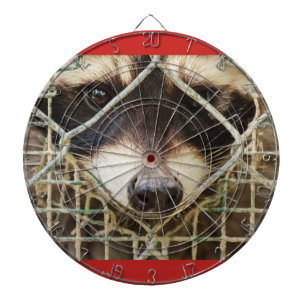 Jeu De Fléchettes le regard triste d'un raton laveur derrière le dar