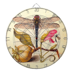 Jeu De Fléchettes Libellule Botanique Nature Faune Hoefnagel Art