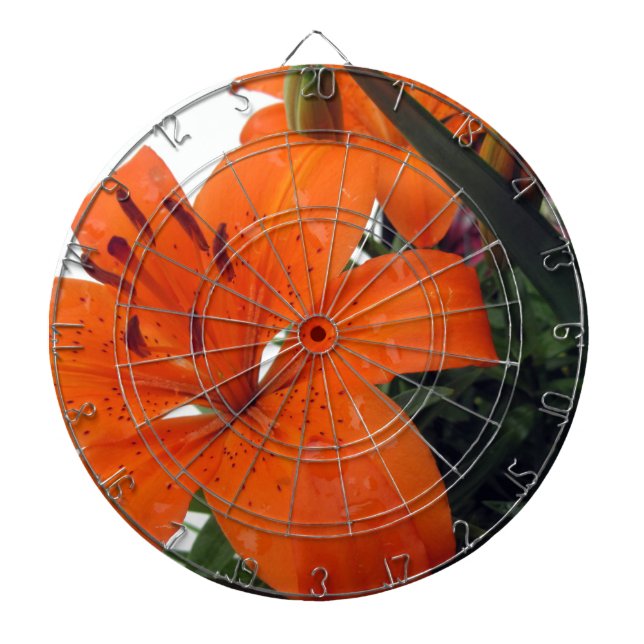 Jeu De Fléchettes Lily Orange (Devant)
