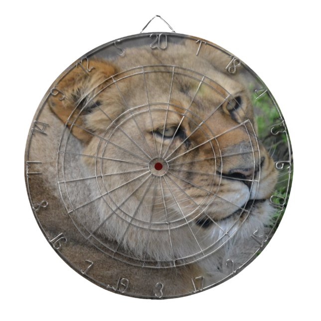 Jeu De Fléchettes Lion (Devant)