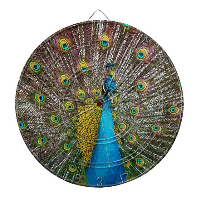 Jeu De Fléchettes Oiseau de paon avec Plumage Royal à l'écran (Devant)