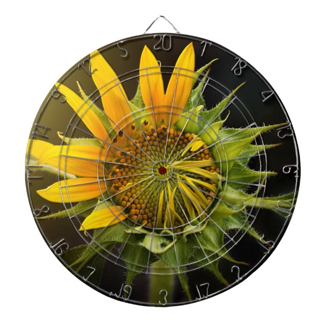 Jeu De Fléchettes Ouverture du tournesol en pleine floraison (Devant)
