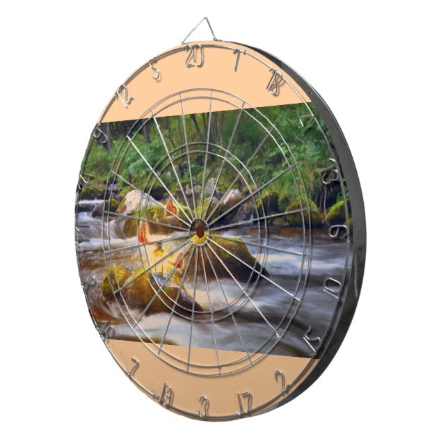 Jeu De Fléchettes Papillons (Devant droit)