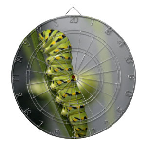 Jeu De Fléchettes Pilière à queue noire (chenille) sur Dil