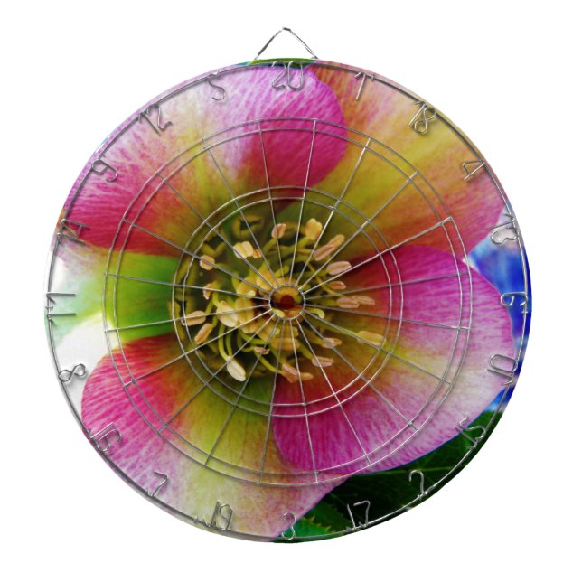 Jeu De Fléchettes Rose de carême rose, (Devant)