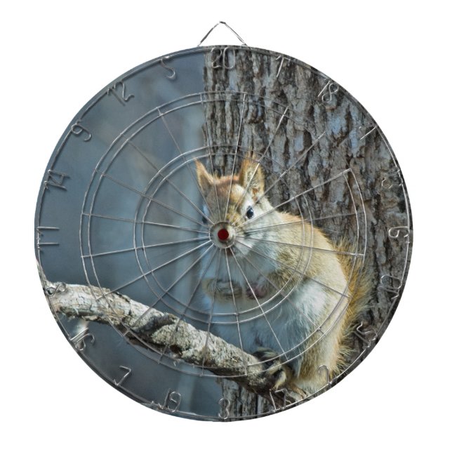 Jeu De Fléchettes Squirrel Haters Dartboard (Devant)