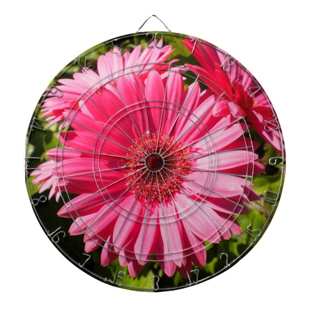 Jeu De Fléchettes Tableau noir rose Gerbera Daisy (Devant)