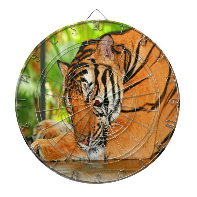 Jeu De Fléchettes Tigre couchant (Devant)