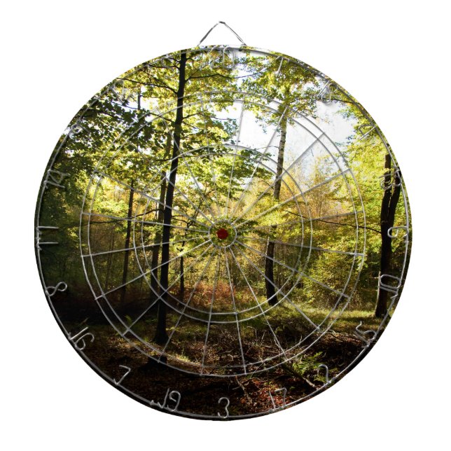 Jeu De Fléchettes Vitrage de forêt (Devant)