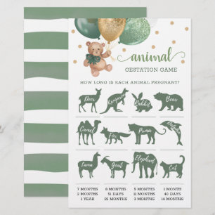 Jeu de gestation animale Ours en peluche vert saug