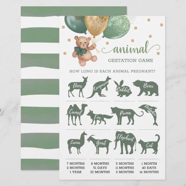 Jeu de gestation animale Ours en peluche vert saug (Devant / Derrière)
