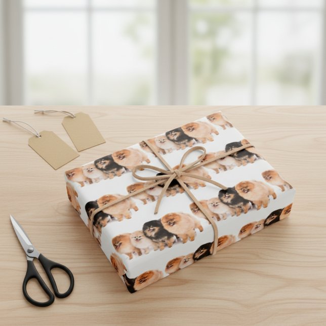 Jeu de papier d'emballage poméranien adorable (Adorable Pomeranian Wrapping Paper Set)