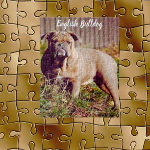 Jeu de puzzle de taureau anglais