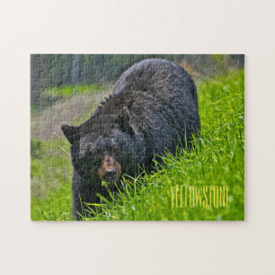 Jeu d'ours noir Yellowstone Puzzle