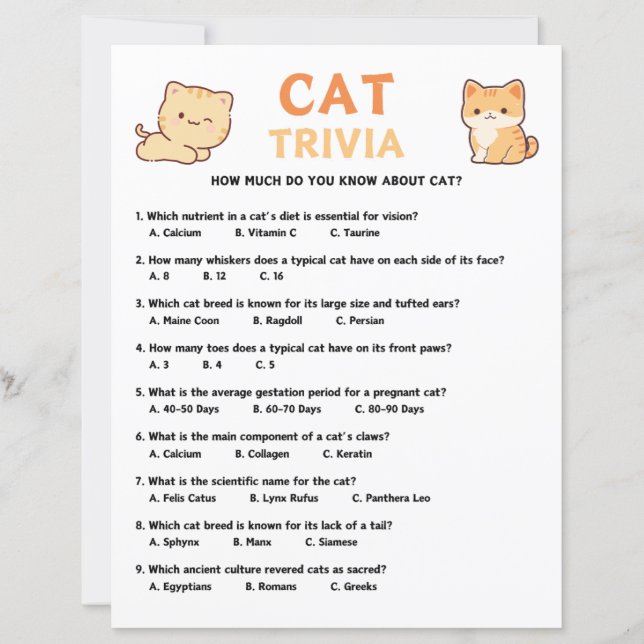 Jeu Trivia Cat (Devant)