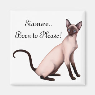 Jeune aimant personnalisable amical de chat