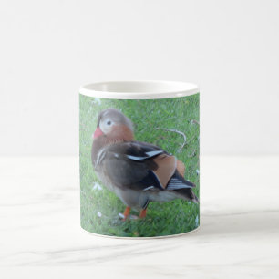 Jeune canard mandarin Mug
