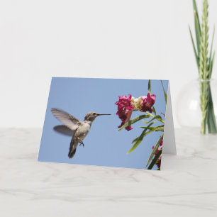 Jeune carte de voeux de Hummer