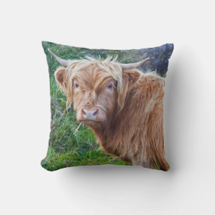Jeune Coussin de vache des Highlands