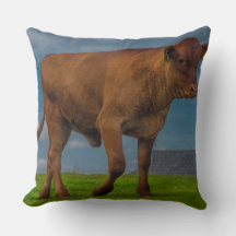Jeune coussin photo taureau