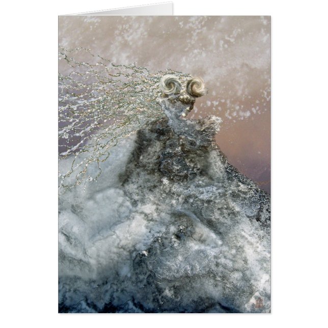 Jeune fille enchantée de glace (Devant)