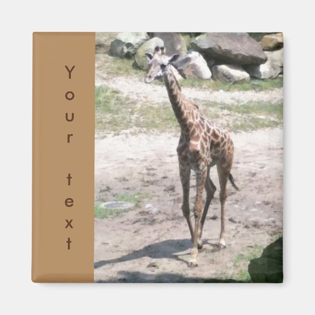 Jeune Giraffe Marcher Votre Texte Magnets (Devant)