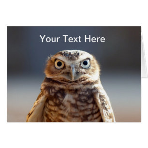 Jeune hibou creusant