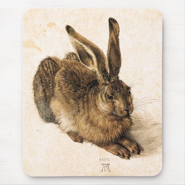 Jeune tapis de souris de lièvres d'Albrecht Durer (Devant)