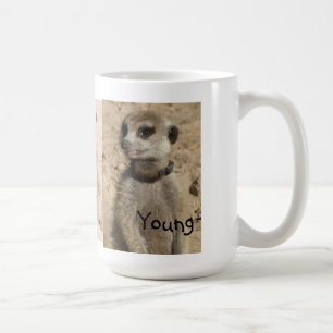 Jeune tasse de Meerkat