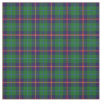 Jeune tissu écossais de plaid de tartan de clan