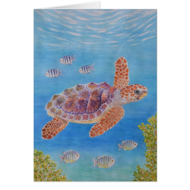 Jeune tortue marine caouanne (Devant)