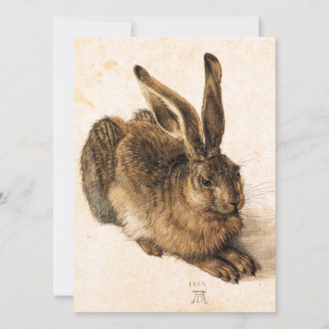 Jeunes invitations de lièvres d'Albrecht Durer (Devant)