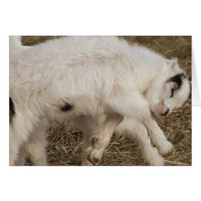 Jeux Amigo (Devant horizontal)