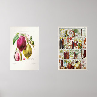 Jeux D'art Mural antique　plant　unique