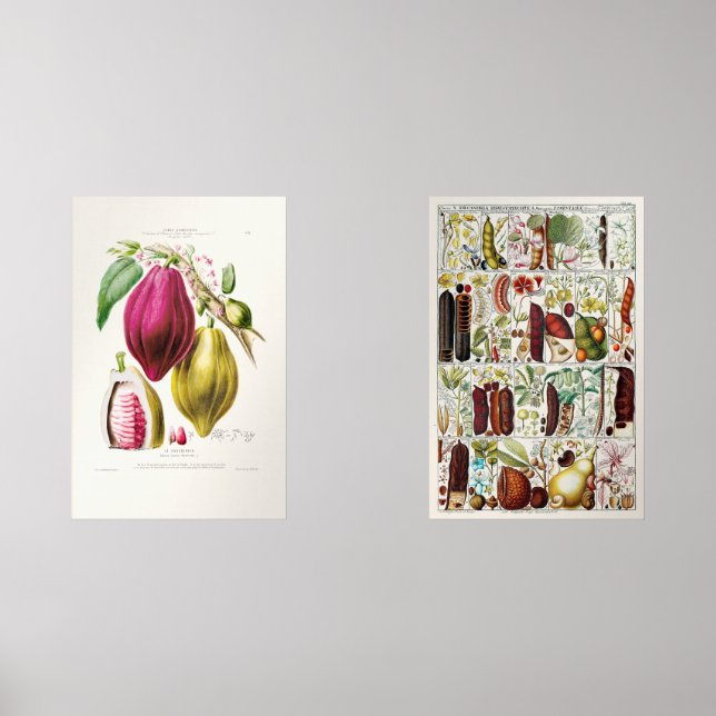 Jeux D'art Mural antique　plant　unique (Recto)